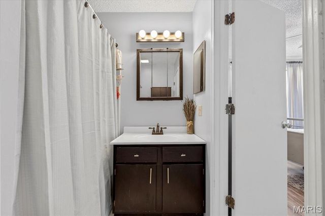 9734 Raintree Village Drive 4B, Hillsboro, MO 63050