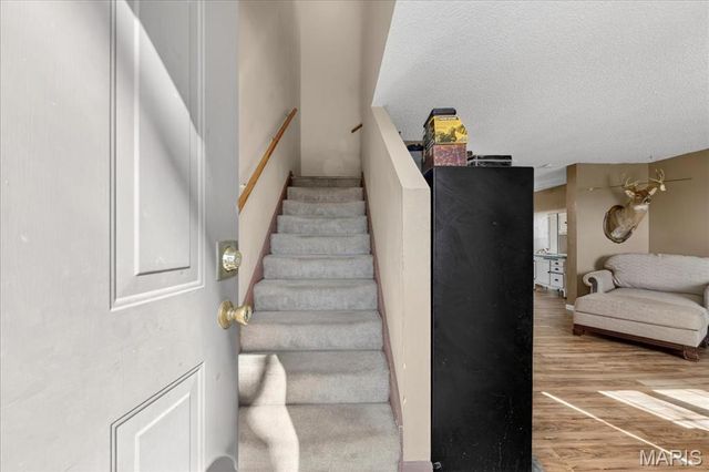 9734 Raintree Village Drive 4B, Hillsboro, MO 63050