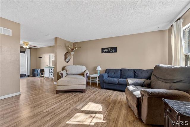 9734 Raintree Village Drive 4B, Hillsboro, MO 63050