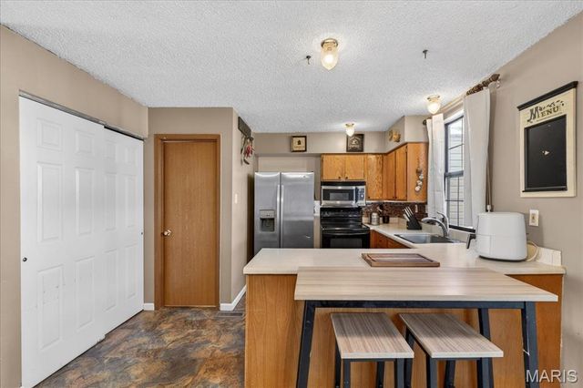 9734 Raintree Village Drive 4B, Hillsboro, MO 63050