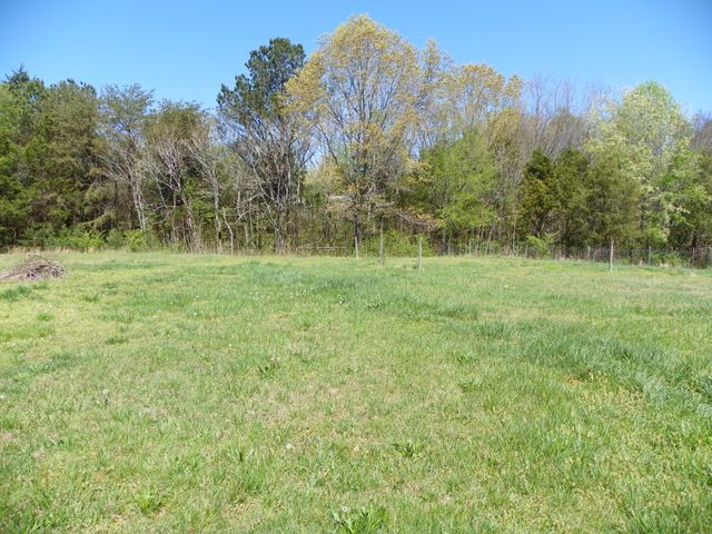 306 Doug Luna Rd, Walling, TN 38587