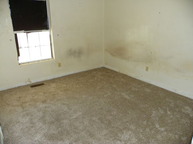 306 Doug Luna Rd, Walling, TN 38587