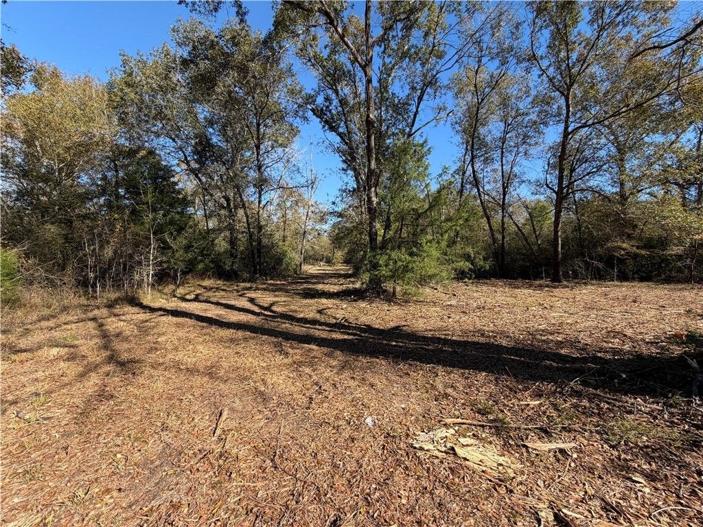 9301 Puddin Lane, Madisonville, TX 77864 — photo 2