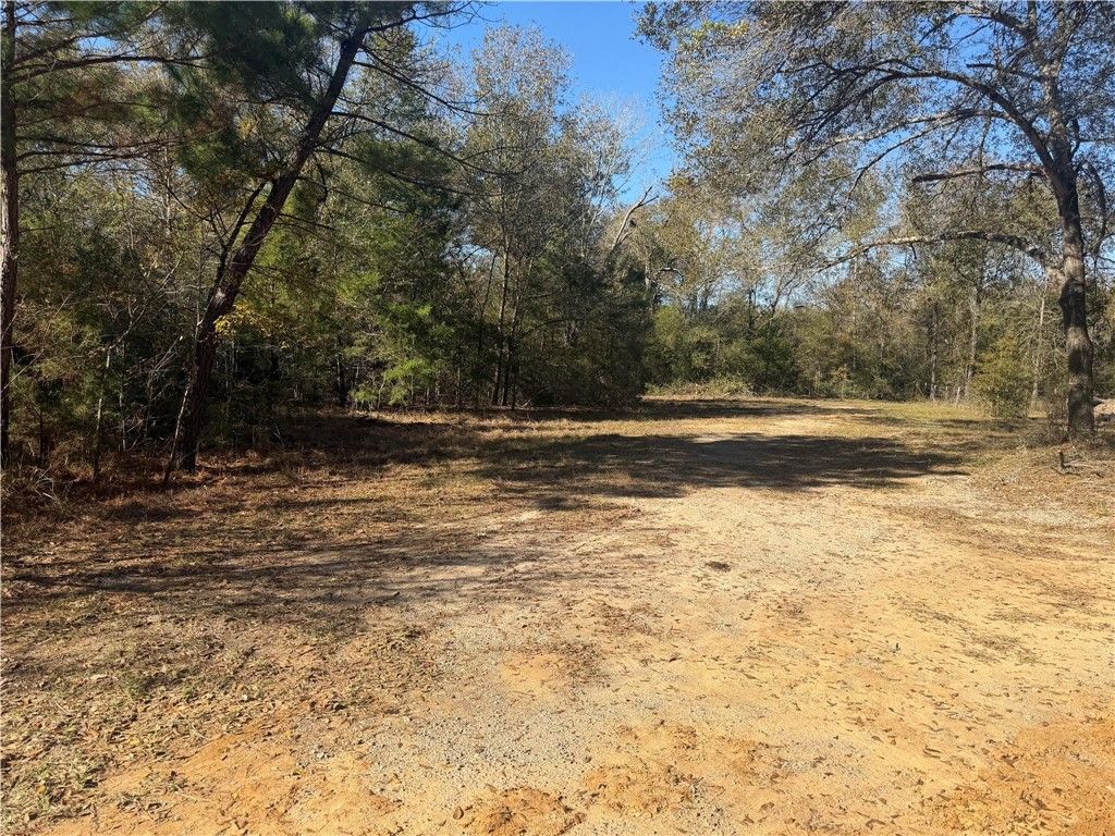 9301 Puddin Lane, Madisonville, TX 77864 — photo 3