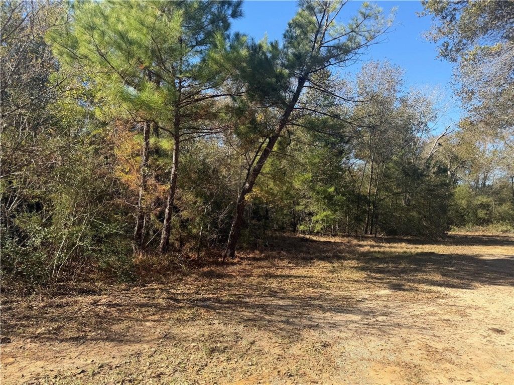 9301 Puddin Lane, Madisonville, TX 77864 — photo 4