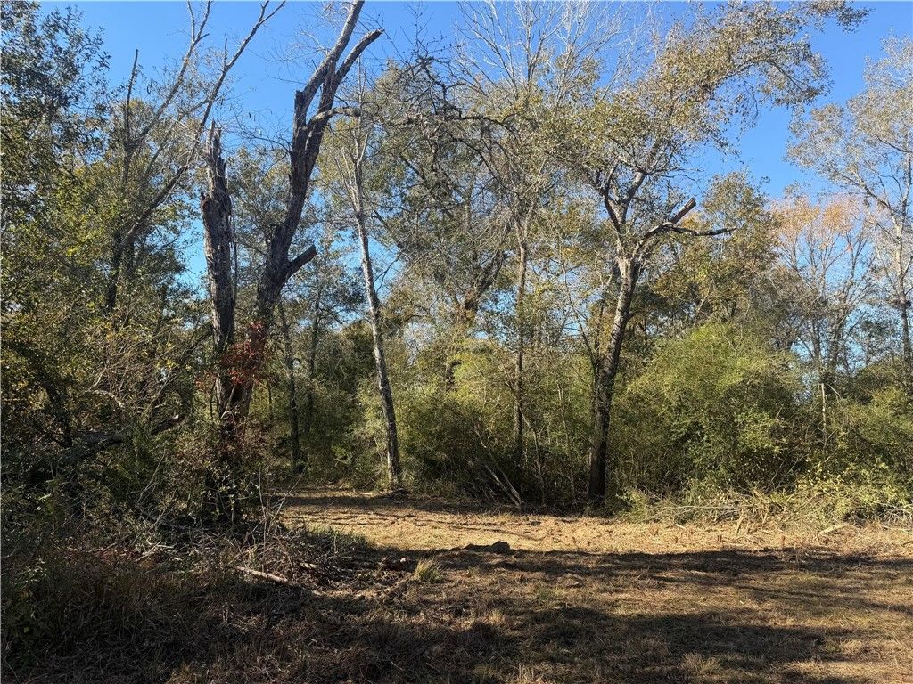 9301 Puddin Lane, Madisonville, TX 77864 — photo 5