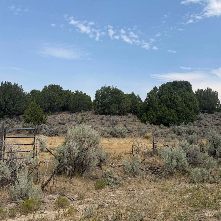 Tbd 1950 S, Elba, ID 83342 photo 2