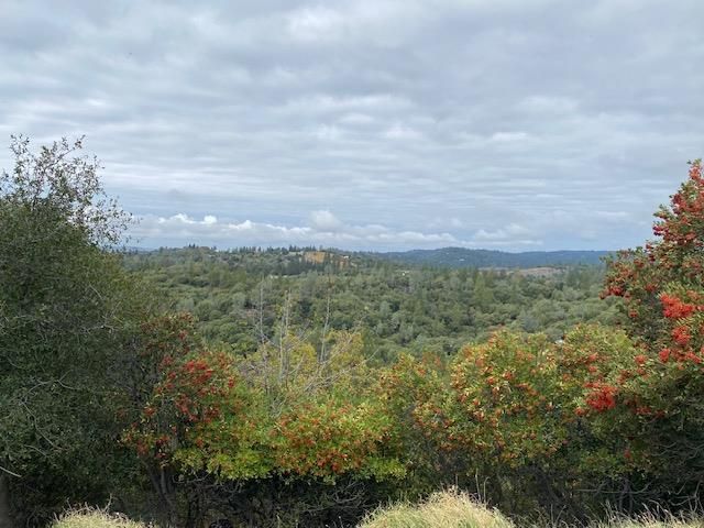 20748 Canyon View Dr, Jackson, CA 95642