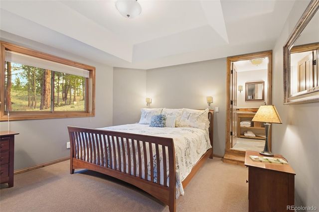 13891 Douglass Ranch Road, Pine, CO 80470