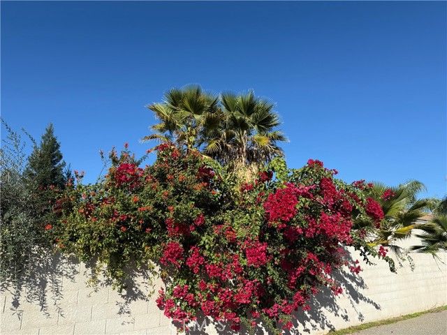 3165 Augusta, Chowchilla, CA 93610