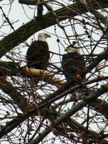 7715 W Wind Lake ROAD, Wind Lake, WI 53185