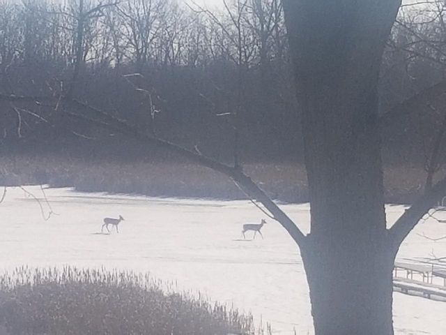 7715 W Wind Lake ROAD, Wind Lake, WI 53185