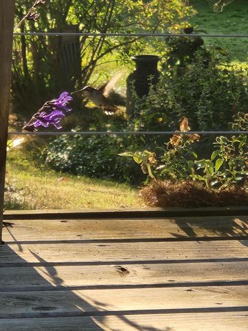 7715 W Wind Lake ROAD, Wind Lake, WI 53185