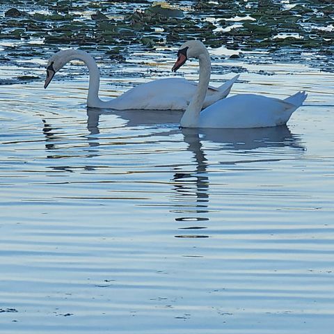 7715 W Wind Lake ROAD, Wind Lake, WI 53185