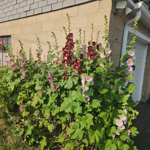 7715 W Wind Lake ROAD, Wind Lake, WI 53185