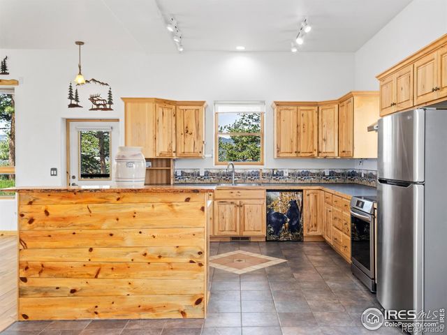 100 Snow Top Drive, Drake, CO 80515