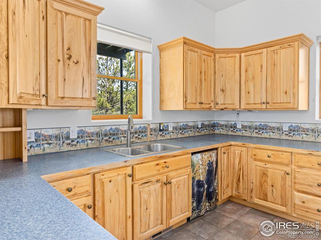 100 Snow Top Drive, Drake, CO 80515