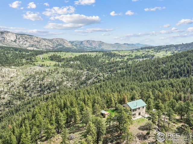 100 Snow Top Drive, Drake, CO 80515