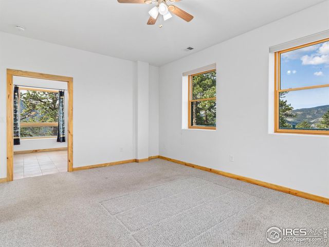 100 Snow Top Drive, Drake, CO 80515