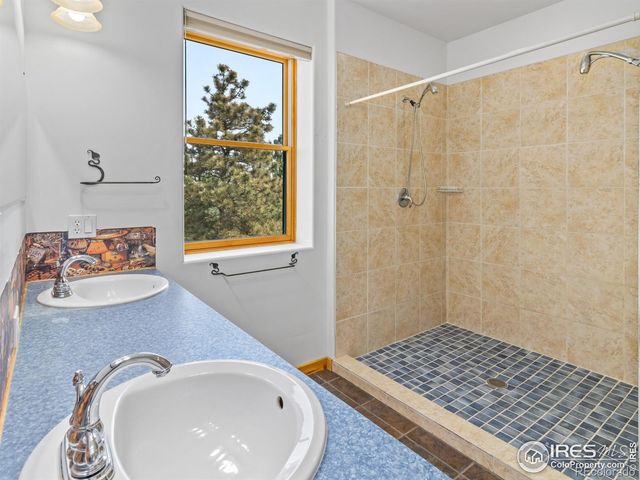 100 Snow Top Drive, Drake, CO 80515