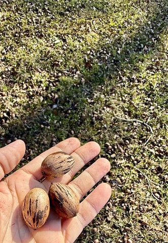 725 Highbluff Road, Hartford, AL 36344