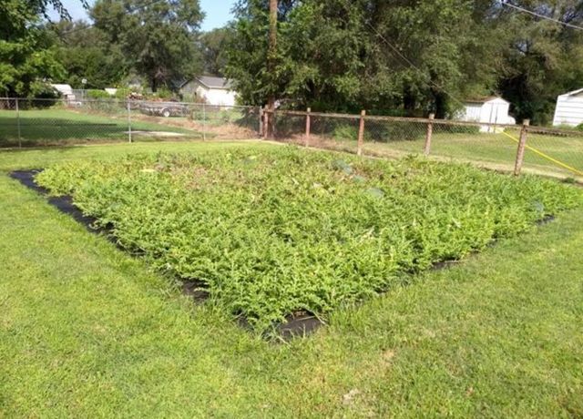 7020 W Ocieo St, Wichita, KS 67205