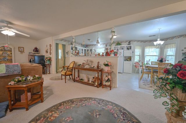 103 Pine Hollow Lane, Mena, AR 71953