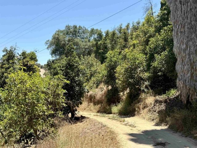 39182 Daily Road, Fallbrook, CA 92028