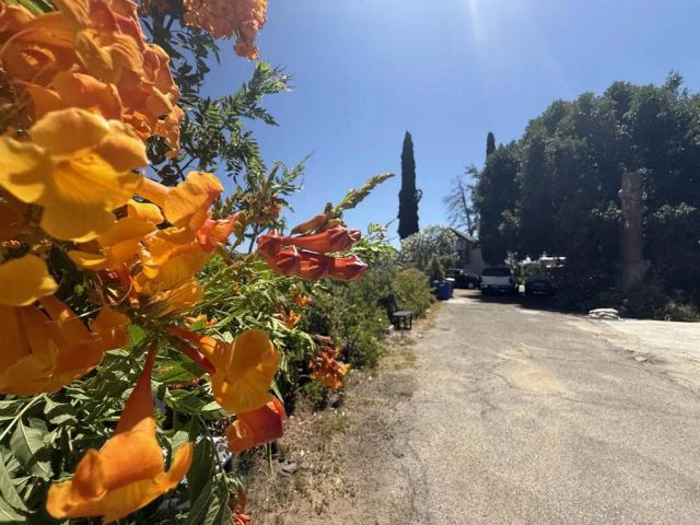 39182 Daily Road, Fallbrook, CA 92028