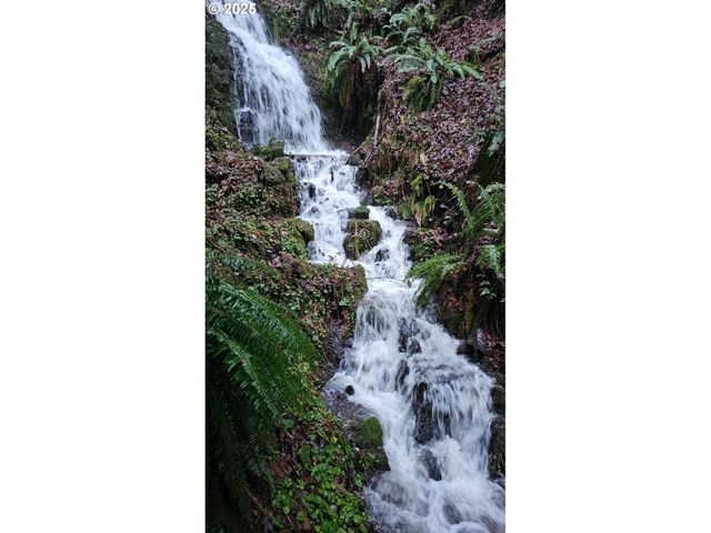 156 PEPPERMILL Rd, Kelso, WA 98626