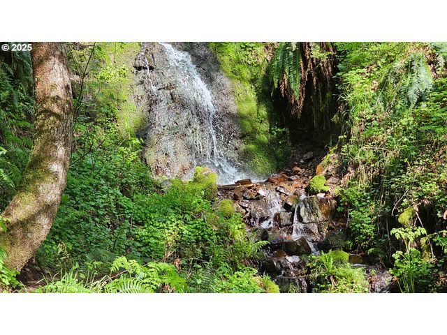 156 PEPPERMILL Rd, Kelso, WA 98626