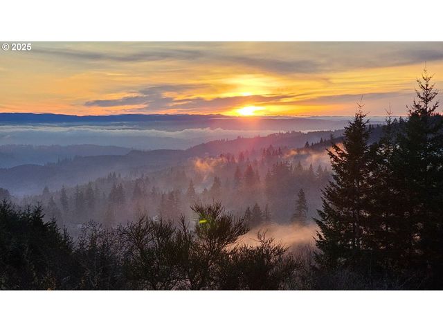 156 PEPPERMILL Rd, Kelso, WA 98626