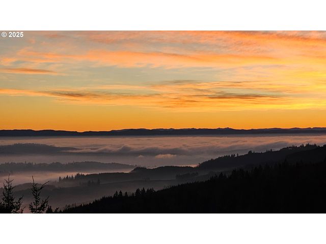 156 PEPPERMILL Rd, Kelso, WA 98626