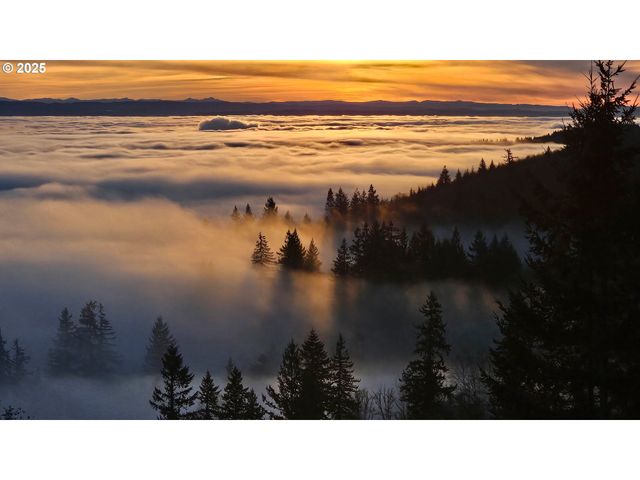 156 PEPPERMILL Rd, Kelso, WA 98626