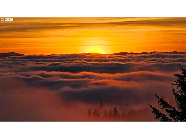 156 PEPPERMILL Rd, Kelso, WA 98626