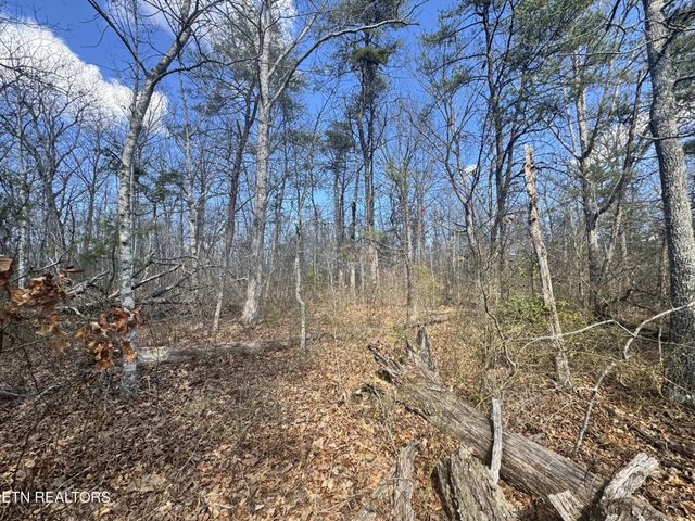 0 Divide Tr, Monterey, TN 38574