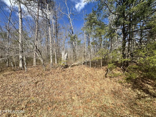 0 Divide Tr, Monterey, TN 38574