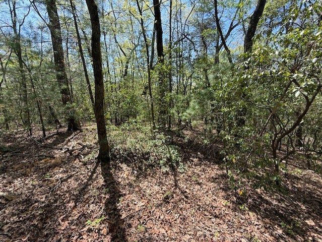 Lot 9 Marjorie Avenue, Ellijay, GA 30536