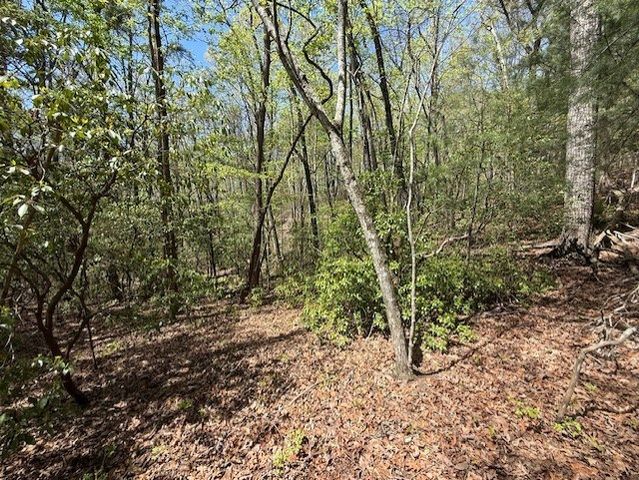 Lot 9 Marjorie Avenue, Ellijay, GA 30536