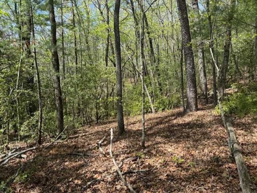 Lot 9 Marjorie Avenue, Ellijay, GA 30536