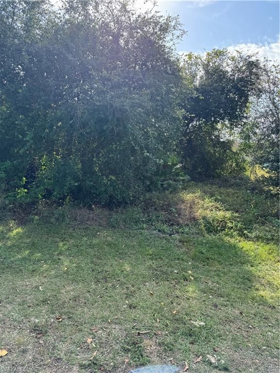 5211 29th ST SW, LEHIGH ACRES, FL 33973 — photo 4