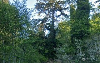 0 Cosgrove Street, Hoquiam, WA 98550