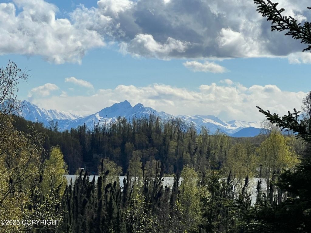 5376 S Jay Sedor Street, Big Lake, AK 99623