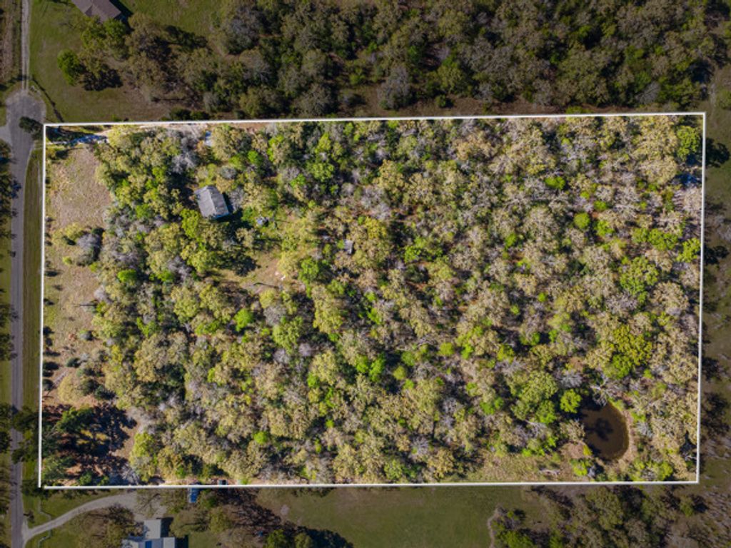 15409 Piney Oaks Lane, Iola, TX 77861 — photo 3
