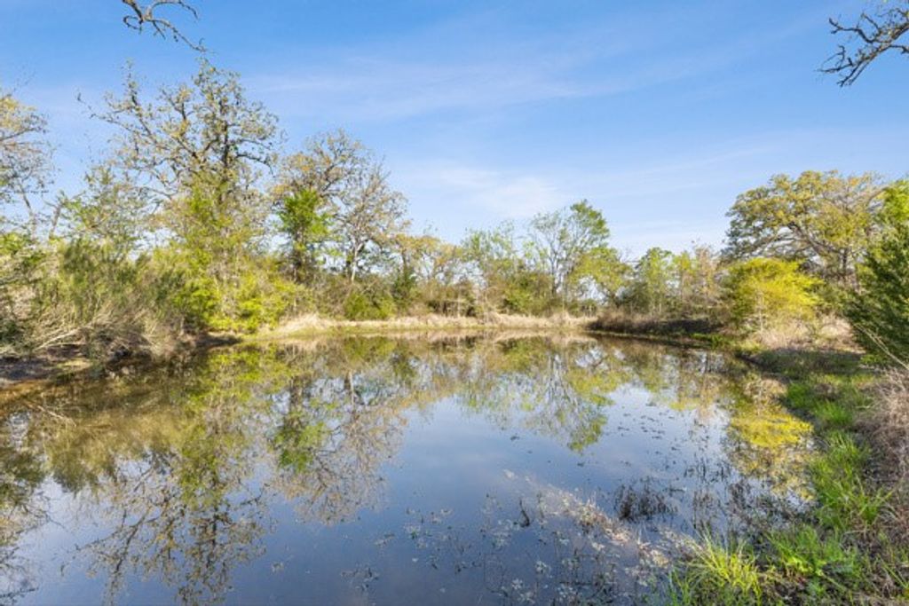 15409 Piney Oaks Lane, Iola, TX 77861 — photo 5