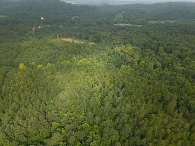 0 County Road 752, Riceville, TN 37370