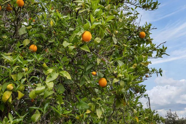 320 Hume Lane, Bakersfield, CA 93309