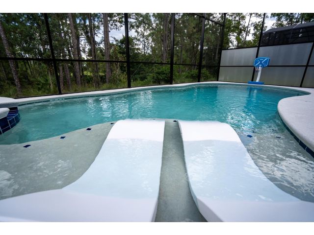 1443 BUTTERFLY MILKWEED COURT, Davenport, FL 33837