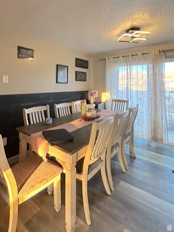 295 S 700 E, Mt Pleasant, UT 84647