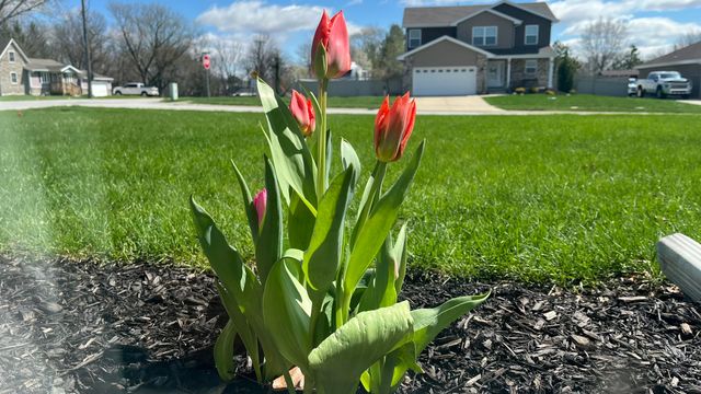 5510 Malibu Drive, Lowell, IN 46356